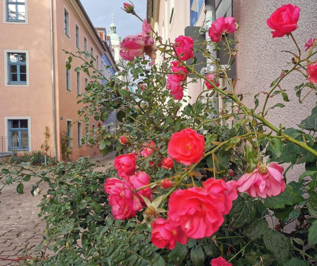 Fynbos Studio Dg In Der Altstadt, Frauenkirchenblick, Parkplatz ไมเซน ภายนอก รูปภาพ