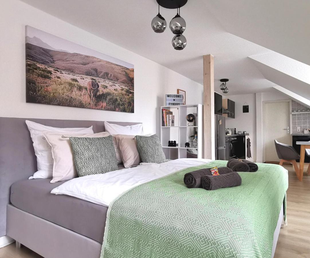 Fynbos Studio Dg In Der Altstadt, Frauenkirchenblick, Parkplatz ไมเซน ภายนอก รูปภาพ